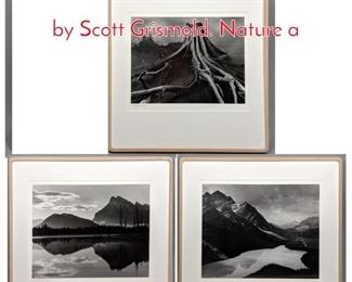 Lot 350 90 3 pc Large Format Photos by Scott Grismold. Nature a