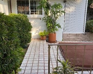 Various potted plants and empty pots