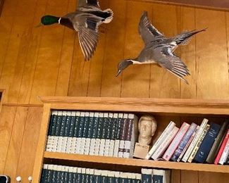 Taxidermy ducks and pheasant