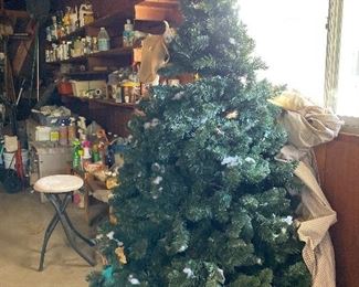 Christmas trees