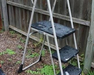 Folding Paint Ladder