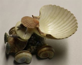 Shell Car