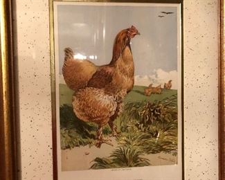 Beautiful framed art