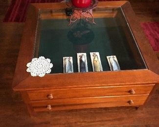 Showcase end table