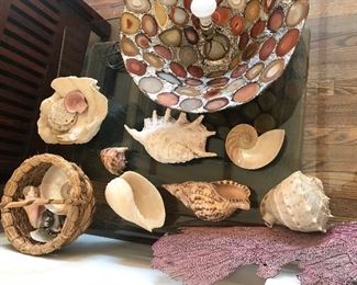 Large seashells and agate lampshade