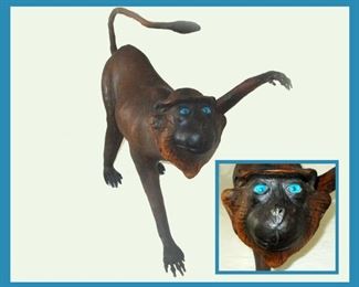 Large Monkey with Bright Blue Eyes; Very Cute although has lived a bit of a Rough Life