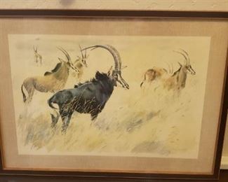 Patricia Vaughan water color