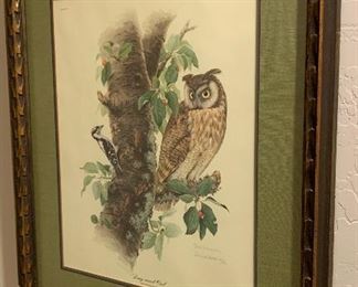 *Signed* Don Whitlatch Long-Eared Owl Print	 	
