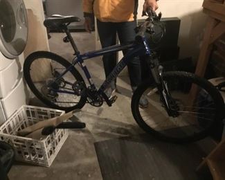 Raleigh Bike