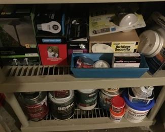 Light Bulbs, Paint