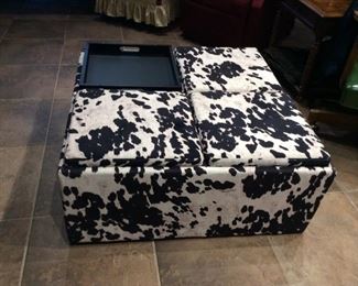 Coffee Table/Ottoman