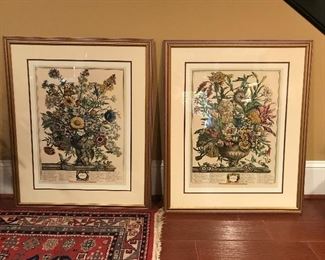 Botanical print pair