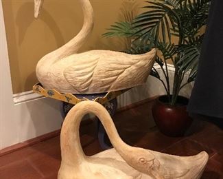 Pair of heavy swans!
