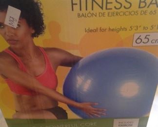 NordicTrack Fitness Ball