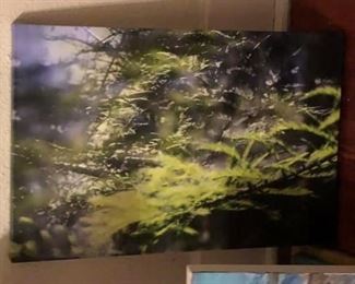 ML3054: Conner McManus Art: Local Pickup https://www.ebay.com/itm/113966510634