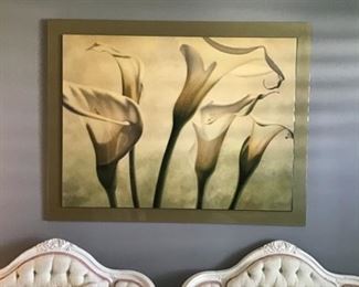 Large Calla Lily Picture
