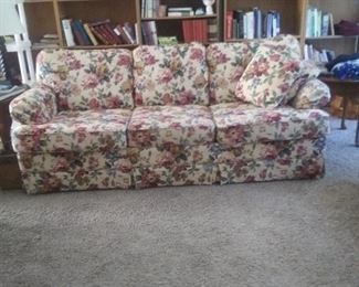 Hide-a-bed sofa for sale. Solid as a rock, no wracking, needs a new mattress. See some of the books we have for sale. Audiobooks, antique books, Time Life Western series, Louis L'Amour faux leather books and more.