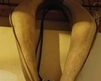 horse bridle