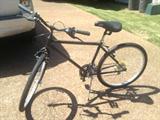 Raleigh Bicycle