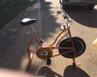 Schwinn exercise bike