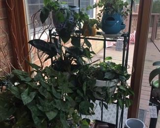 Live plants, toys, iron bakers rack