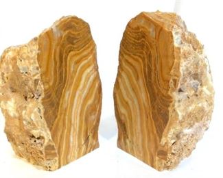 Petrified Wood Stone Bookends
