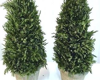 Pair Decorative Pine Topiaries