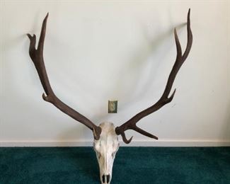 Antlers