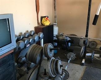 All sizes and weights body building strength barbells