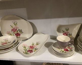 Vintage Red Wing  Set of China with Many Serving Pieces