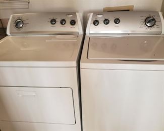 I don't know what they are or what they do, but my maid pees every time she sees them.