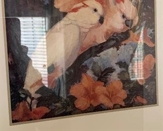Jessie Arms Botke Salmon Creseted Cockatoos Framed Print/Poster