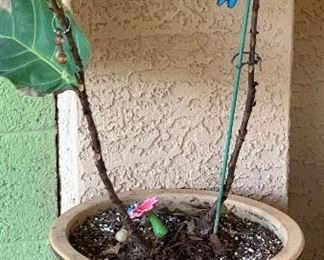 Lg Rolling Pot/Plant
