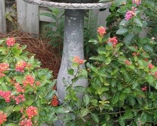 Birdbath