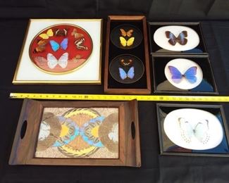 Lot of 6 Butterfly Artworks from Brazil