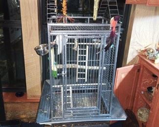 Awww, Rockets cage. He’s alive don’t worry, enjoying his new home at the lake!

Make offer.