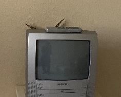 Sidetable/TV Stand, TV