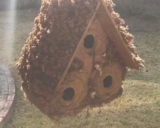 Bird House.