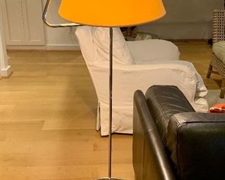 LIgne Roset Floor Lamp