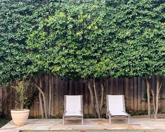 Pair of Henry Hall Pool Loungers