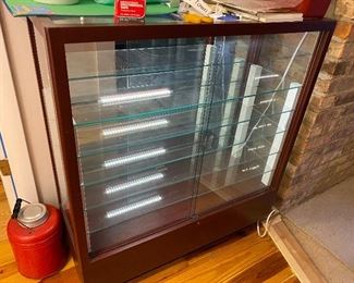 Lighted display case