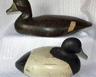 Collection of Outstanding Duck Decoys