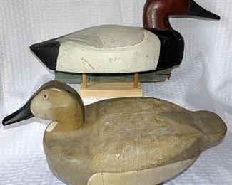 Collection of Outstanding Duck Decoys