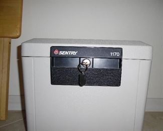 Sentry Box Safe