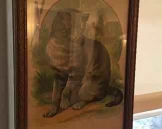 One of MANY CAT PICTURES! 😀