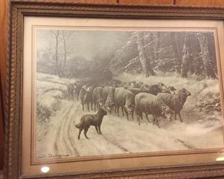 Vintage framed Sheep print