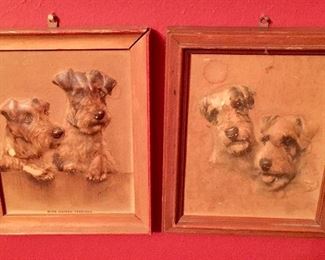 Arendale terrier vintage pictures