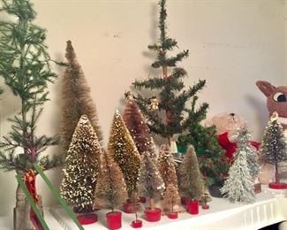 Christmas Trees of all kinds