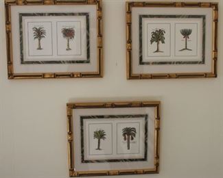 Beautifully framed and matted palm tree prints.