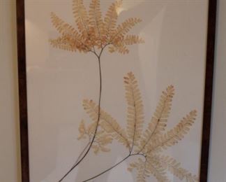 Pressed fern original art, beautifully presented.